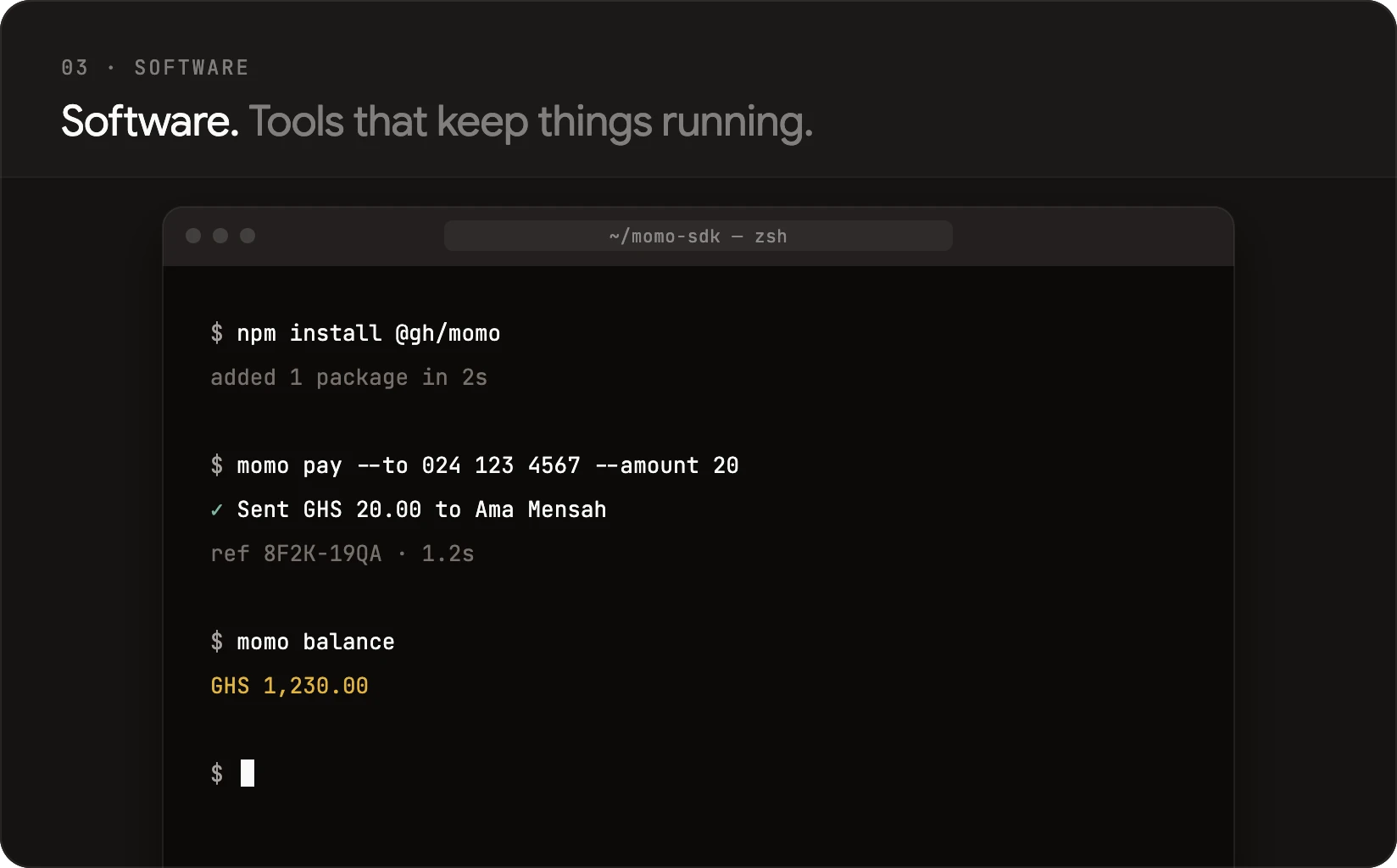 A terminal sending a mobile money payment from the command line.