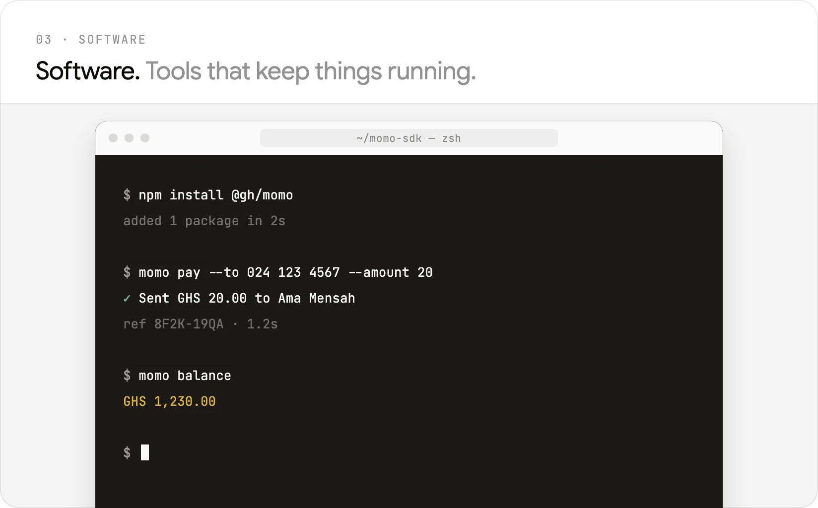 A terminal sending a mobile money payment from the command line.